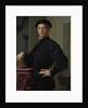 Portrait of a Young Man, 1530s by Agnolo Bronzino
