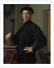 Portrait of a Young Man, 1530s by Agnolo Bronzino