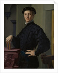 Portrait of a Young Man, 1530s by Agnolo Bronzino