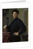 Portrait of a Young Man, 1530s by Agnolo Bronzino
