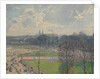 The Garden of the Tuileries on a Winter Afternoon, 1899 by Camille Pissarro
