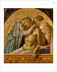 Pietà, 1476 by Carlo Crivelli