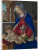 Madonna and Child, ca. 1483-84 by Filippino Lippi
