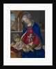 Madonna and Child, ca. 1483-84 by Filippino Lippi
