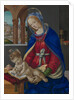 Madonna and Child, ca. 1483-84 by Filippino Lippi
