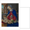 Madonna and Child, ca. 1483-84 by Filippino Lippi