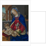 Madonna and Child, ca. 1483-84 by Filippino Lippi