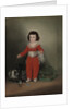 Manuel Osorio Manrique de Zuñiga, 1787-88 by Francisco Goya
