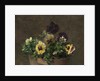 Potted Pansies, 1883 by Henri Fantin-Latour