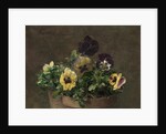 Potted Pansies, 1883 by Henri Fantin-Latour