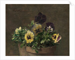 Potted Pansies, 1883 by Henri Fantin-Latour