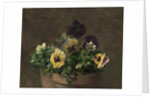 Potted Pansies, 1883 by Henri Fantin-Latour