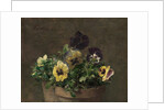 Potted Pansies, 1883 by Henri Fantin-Latour