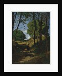 Fir Trees in Les Trembleaux, near Marlotte, 1854 by Henri-Joseph Harpignies
