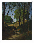 Fir Trees in Les Trembleaux, near Marlotte, 1854 by Henri-Joseph Harpignies