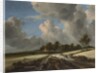 Wheat Fields, ca. 1670 by Jacob van Ruisdael