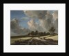 Wheat Fields, ca. 1670 by Jacob van Ruisdael