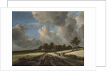 Wheat Fields, ca. 1670 by Jacob van Ruisdael