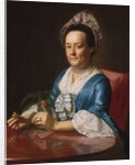 Mrs. John Winthrop, 1773 by John Singleton Copley