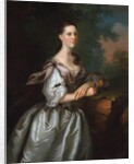 Mrs. Samuel Cutts, ca. 1762-63 by Joseph Blackburn
