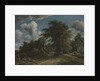 Woodland Road, ca. 1670 by Meindert Hobbema