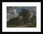 Woodland Road, ca. 1670 by Meindert Hobbema