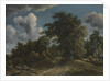 Woodland Road, ca. 1670 by Meindert Hobbema