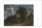 Woodland Road, ca. 1670 by Meindert Hobbema