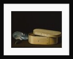 Still Life with Shells and a Chip-Wood Box, late 1620s by Sebastian Stoskopff