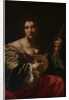 Woman Playing a Guitar, ca. 1618 by Simon Vouet
