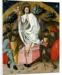 The Resurrection by Unknown