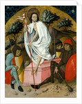 The Resurrection by Unknown