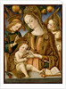 Madonna and Child with Two Angels, ca. 1481-82 by Vittore Crivelli