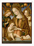 Madonna and Child with Two Angels, ca. 1481-82 by Vittore Crivelli