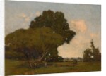 The Trees, Early Afternoon, France, ca. 1905 by William A. Harper