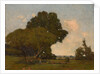 The Trees, Early Afternoon, France, ca. 1905 by William A. Harper