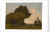 The Trees, Early Afternoon, France, ca. 1905 by William A. Harper