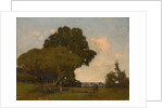 The Trees, Early Afternoon, France, ca. 1905 by William A. Harper