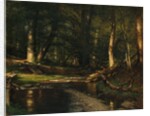 The Brook in the Woods, ca. 1885-86 by Worthington Whittredge