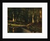 The Brook in the Woods, ca. 1885-86 by Worthington Whittredge