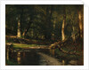 The Brook in the Woods, ca. 1885-86 by Worthington Whittredge