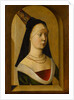 Portrait of a Woman, ca. 1470-80 by Unknown