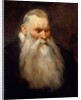 Study Head of an Old Man with a White Beard, ca. 1617-20 by Anthony van Dyck