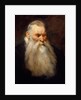 Study Head of an Old Man with a White Beard, ca. 1617-20 by Anthony van Dyck