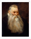 Study Head of an Old Man with a White Beard, ca. 1617-20 by Anthony van Dyck