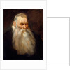 Study Head of an Old Man with a White Beard, ca. 1617-20 by Anthony van Dyck