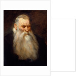 Study Head of an Old Man with a White Beard, ca. 1617-20 by Anthony van Dyck