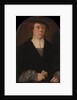Portrait of a Man, 1533 by Bartholomaeus Bruyn the Elder
