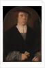 Portrait of a Man, 1533 by Bartholomaeus Bruyn the Elder