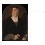 Portrait of a Man, 1533 by Bartholomaeus Bruyn the Elder